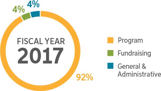 In the fiscal year 2017, 92% of all expenditures went to program services.
